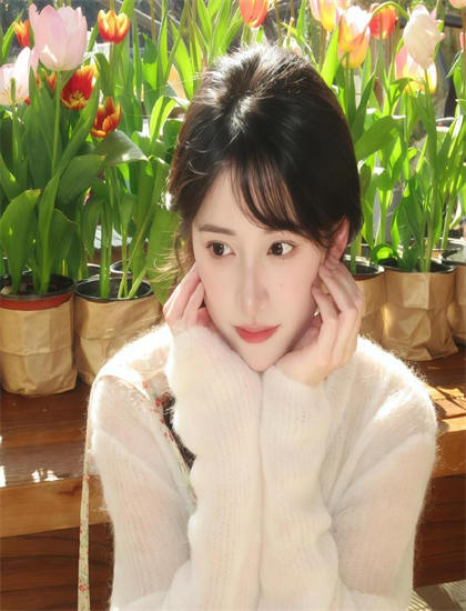 《莫斯科绅士》美学价值主流分析：艺术美感与审美特征探讨，免费观看